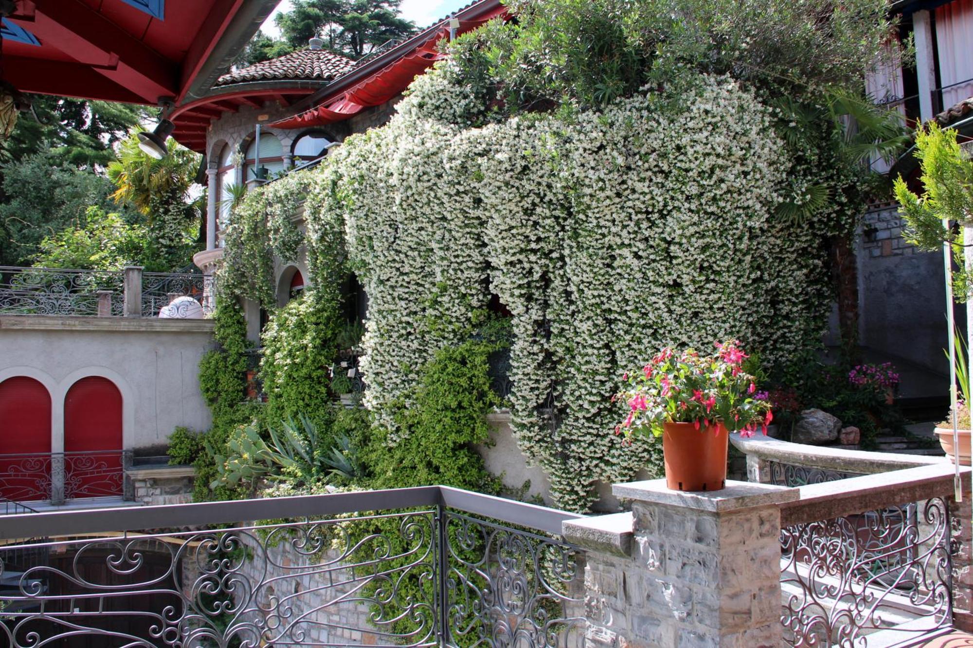 Barony Le Pergole Holiday Apartments Λουγκάνο Εξωτερικό φωτογραφία